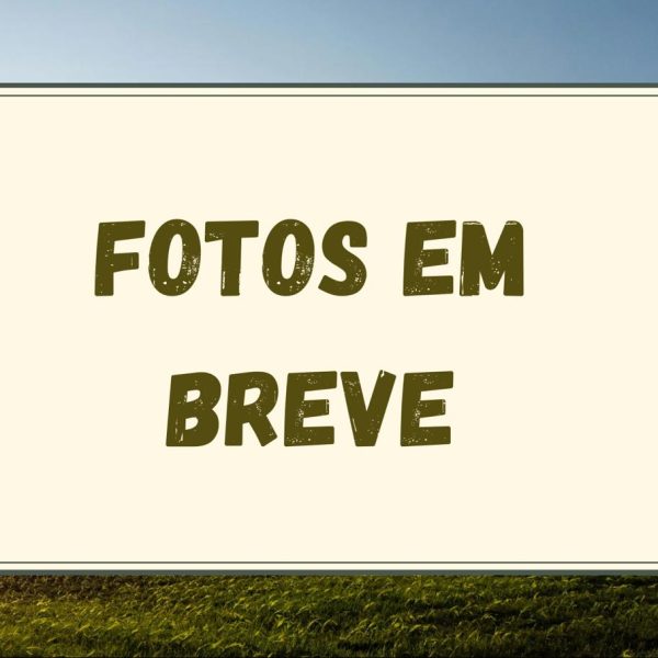 WhatsApp Image 2025-09-30 at 18.31.22