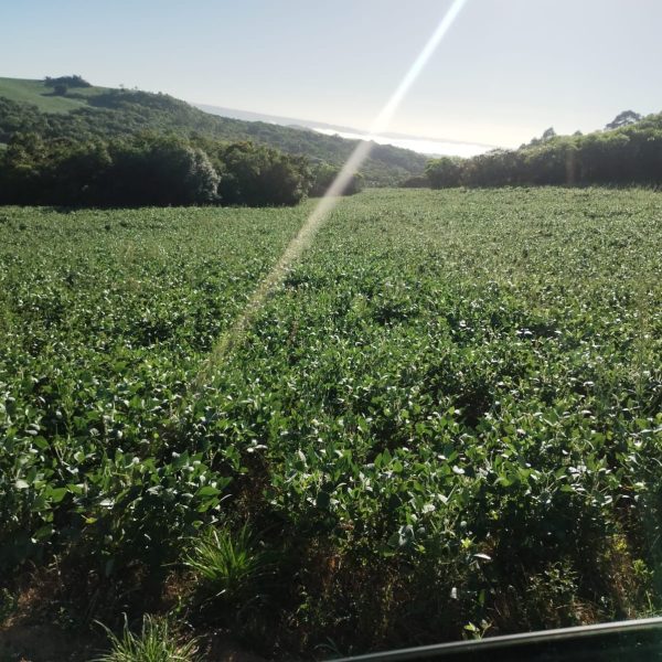 WhatsApp Image 2025-10-05 at 14.18.31 (2)