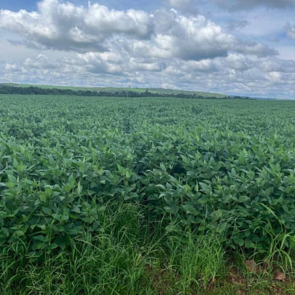 WhatsApp Image 2025-10-06 at 11.48.31