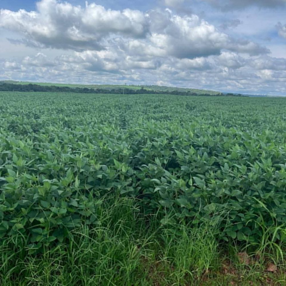 WhatsApp Image 2025-10-06 at 11.48.31