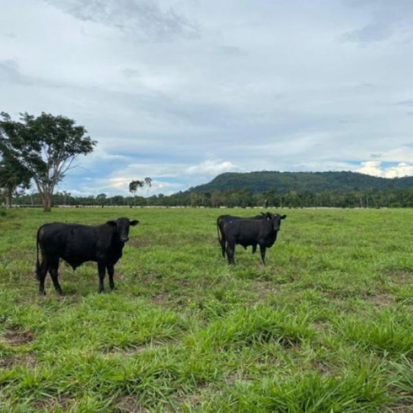 WhatsApp Image 2025-10-12 at 13.42.07