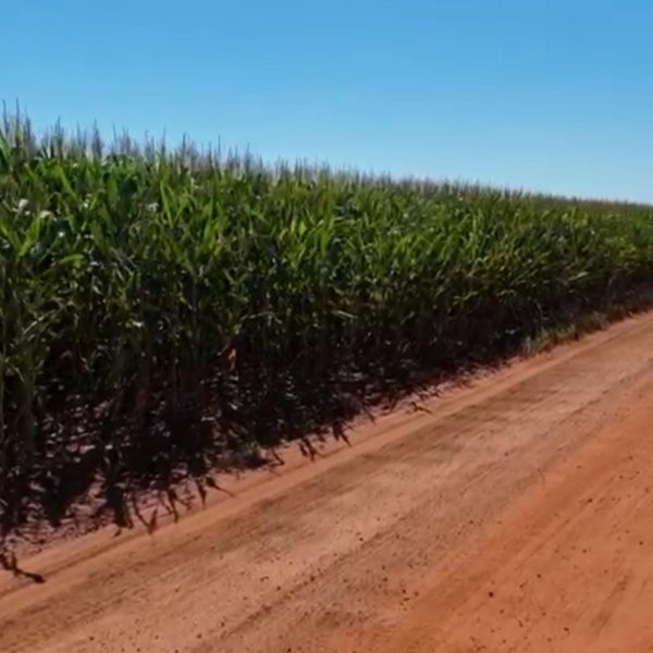 WhatsApp Image 2025-10-12 at 19.03.31