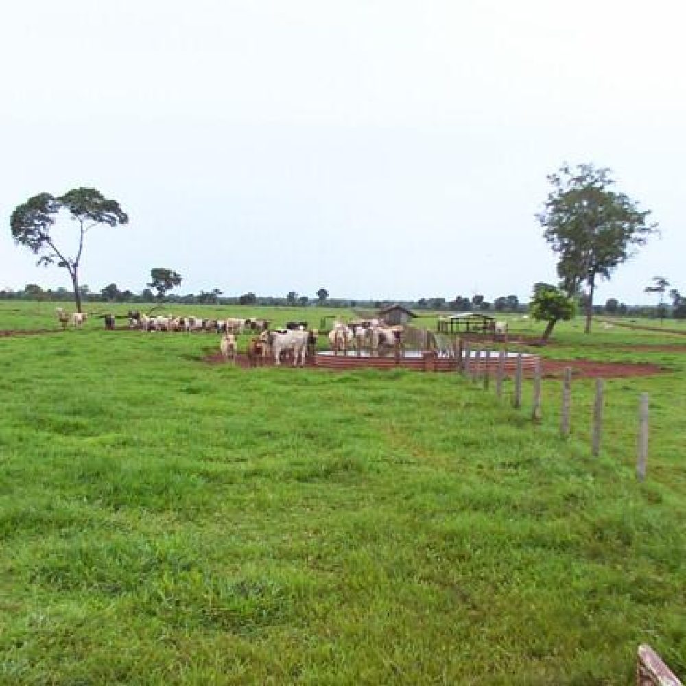 WhatsApp Image 2025-10-12 at 19.08.15 (3)