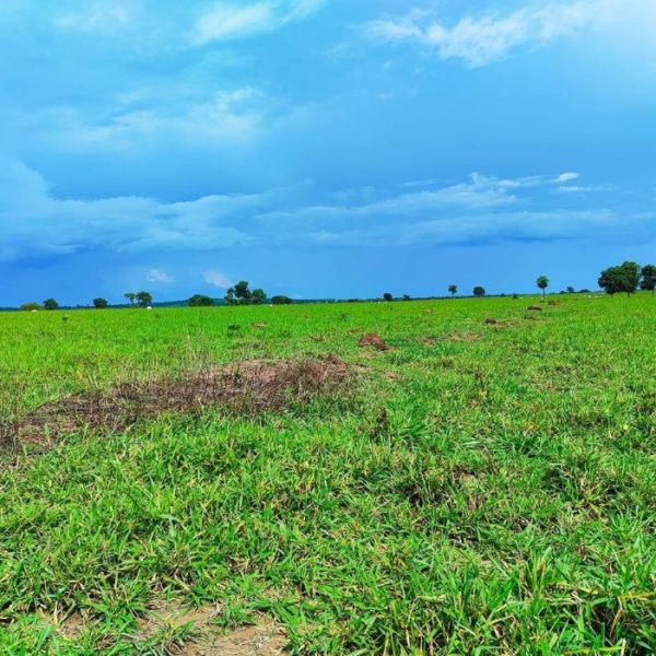 WhatsApp Image 2025-10-13 at 00.52.47