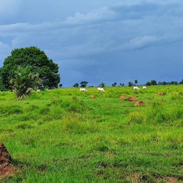 WhatsApp Image 2025-10-13 at 00.53.38