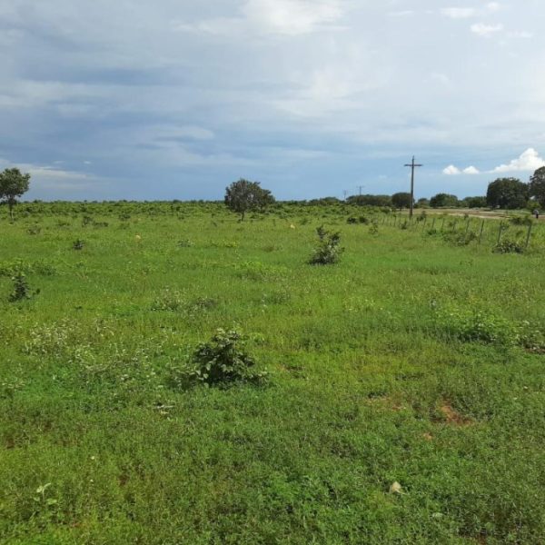 WhatsApp Image 2025-10-17 at 22.28.57