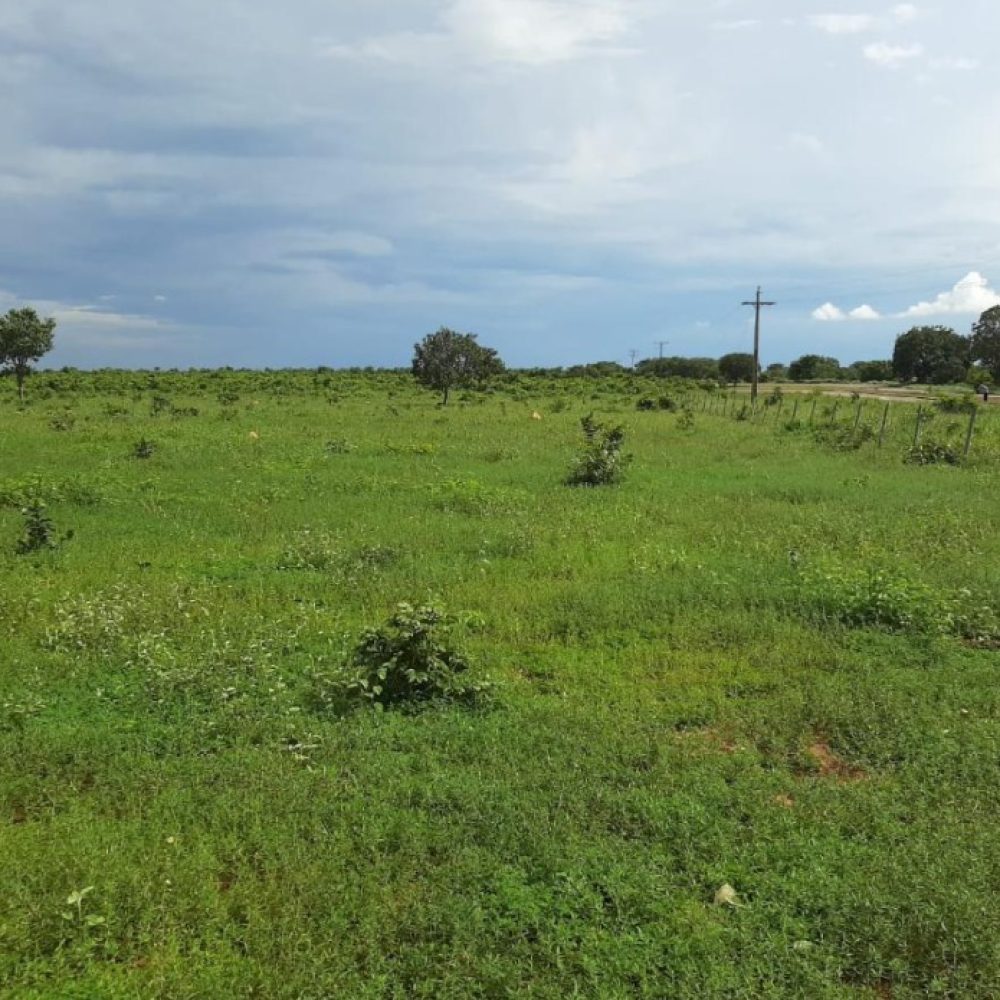 WhatsApp Image 2025-10-17 at 22.28.57