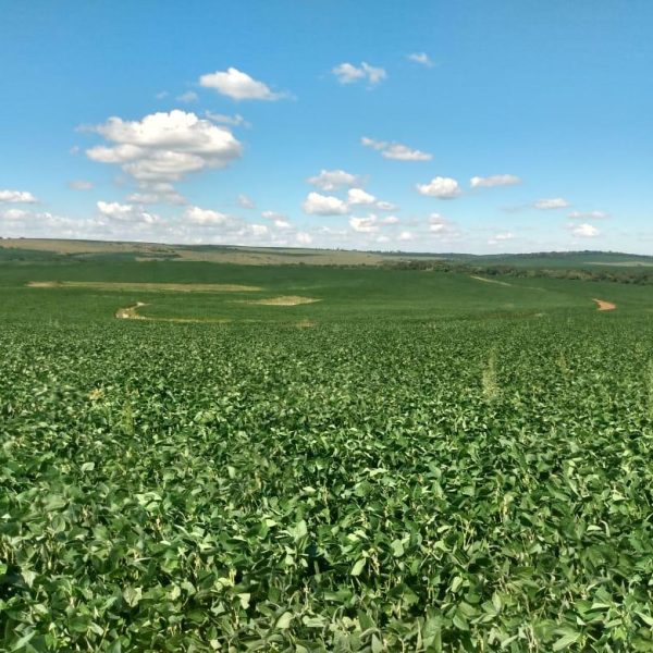 WhatsApp Image 2025-10-24 at 10.16.58 (1)