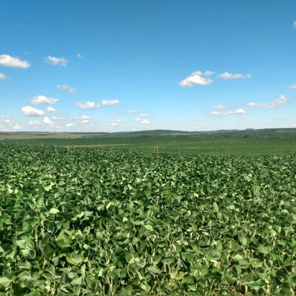 WhatsApp Image 2025-10-24 at 10.16.58