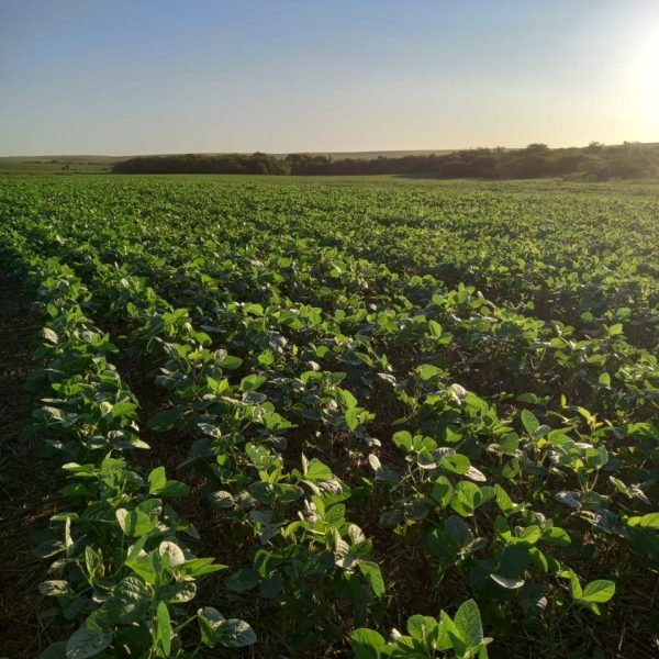 WhatsApp Image 2025-10-24 at 10.17.01 (1)