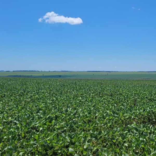 WhatsApp Image 2025-10-28 at 10.51.52