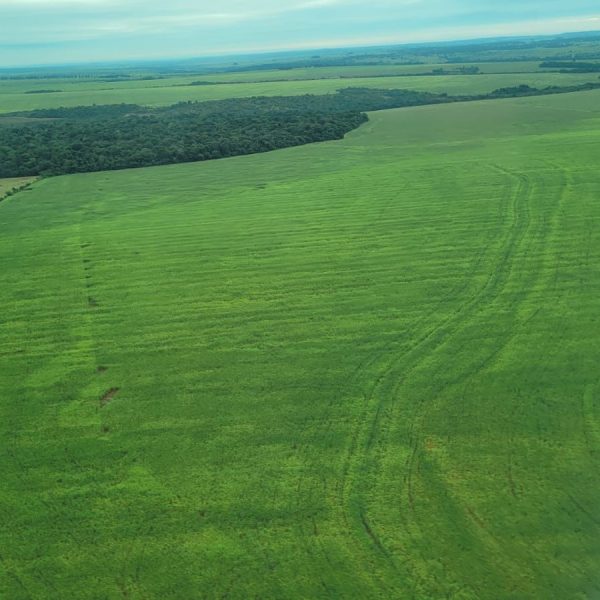 WhatsApp Image 2025-10-28 at 10.51.53 (1)