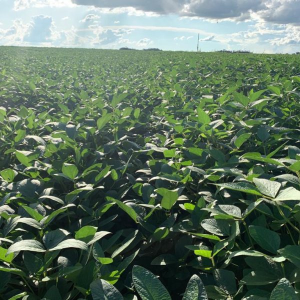 WhatsApp Image 2025-10-28 at 20.29.18 (2)