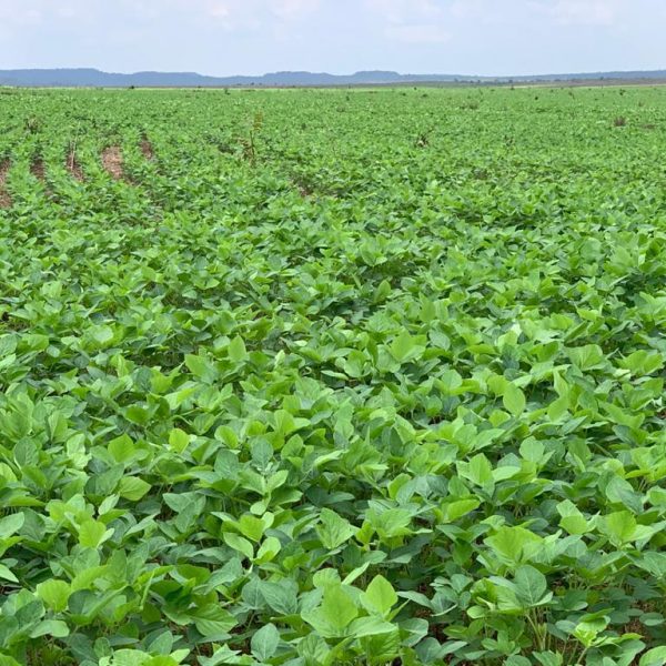 WhatsApp Image 2025-10-28 at 20.29.18