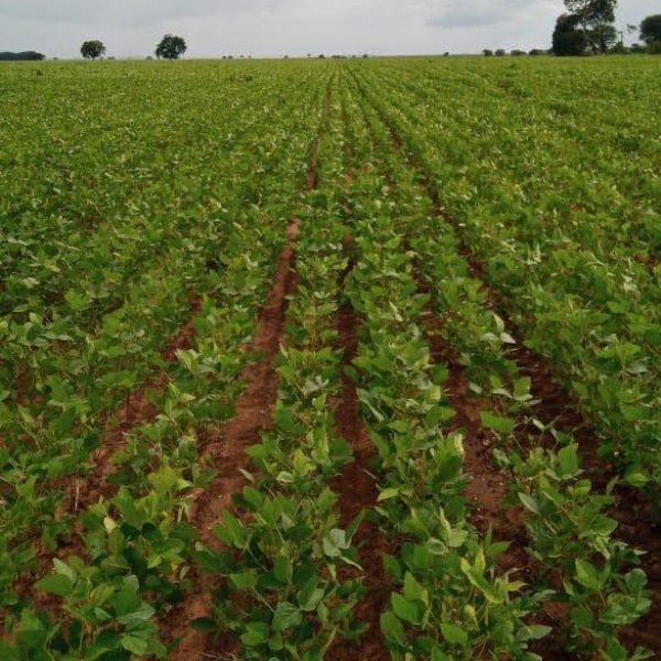 WhatsApp Image 2025-10-28 at 20.29.21