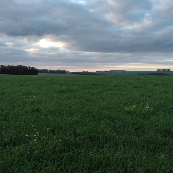 WhatsApp Image 2025-11-02 at 21.54.21