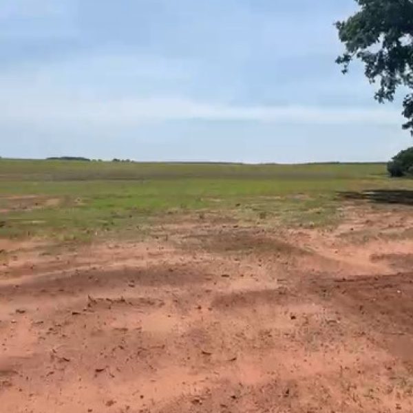 WhatsApp Image 2025-11-02 at 22.19.23