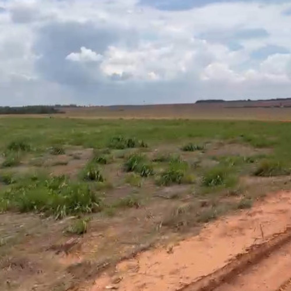 WhatsApp Image 2025-11-02 at 22.20.37