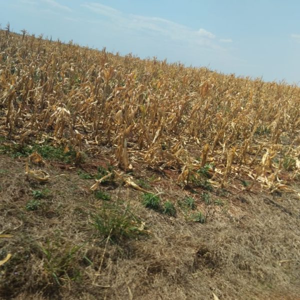 WhatsApp Image 2025-11-09 at 14.40.06 (2)