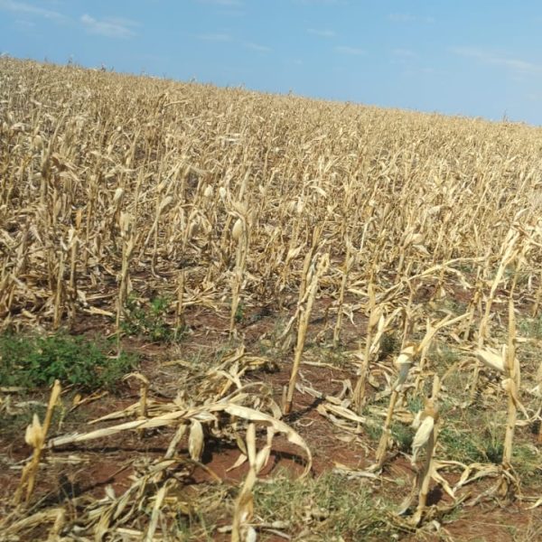 WhatsApp Image 2025-11-09 at 14.40.07 (2)