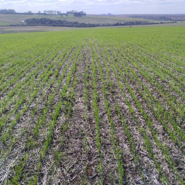 WhatsApp Image 2025-11-13 at 09.28.06