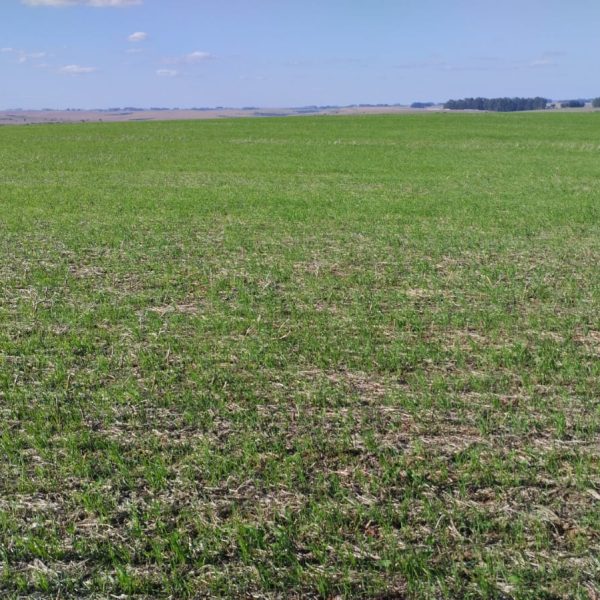 WhatsApp Image 2025-11-13 at 09.28.09