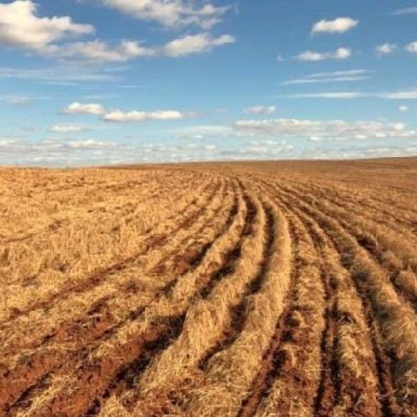 WhatsApp Image 2025-11-13 at 09.28.10