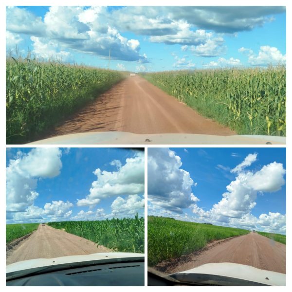 WhatsApp Image 2025-11-14 at 20.18.24