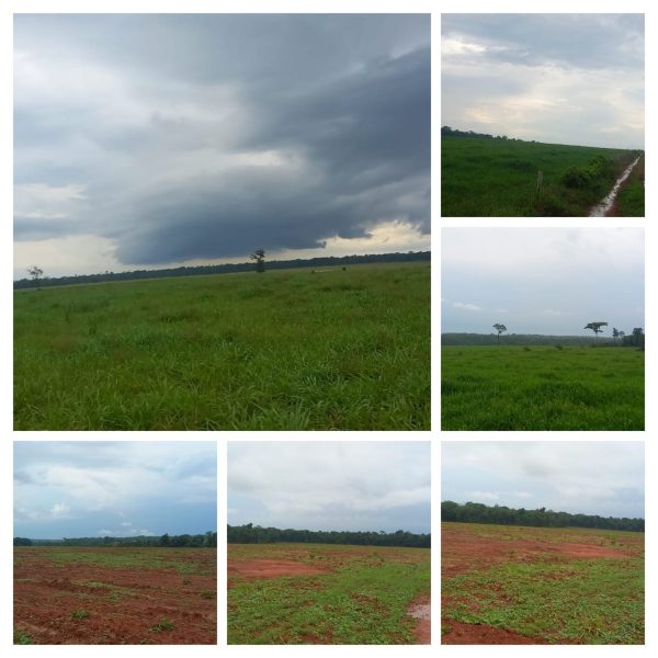 WhatsApp Image 2025-11-14 at 22.34.19