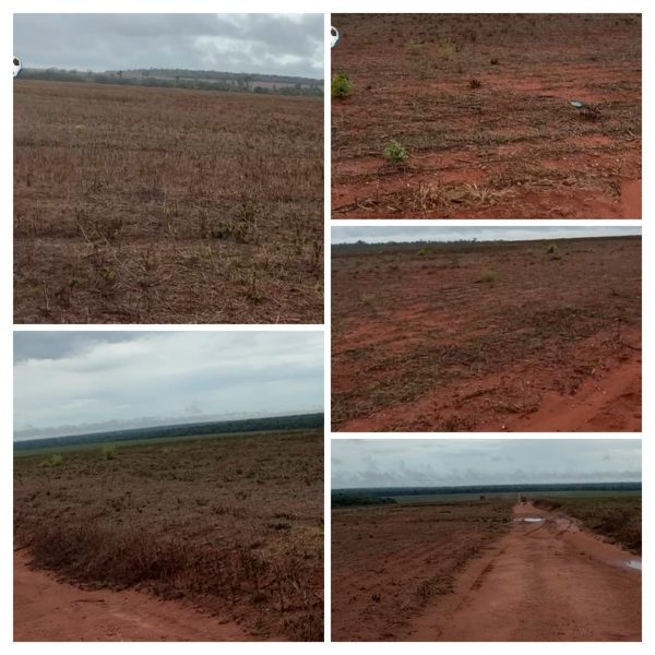 WhatsApp Image 2025-11-15 at 07.18.06