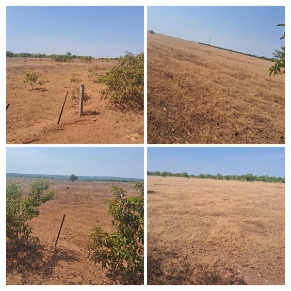 WhatsApp Image 2025-11-15 at 10.03.03