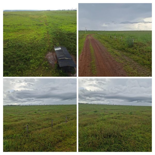 WhatsApp Image 2025-11-15 at 10.32.15