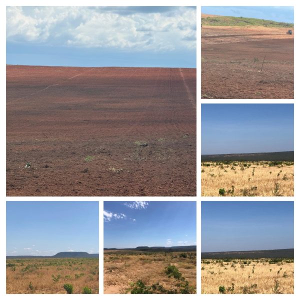 WhatsApp Image 2025-11-15 at 10.42.56