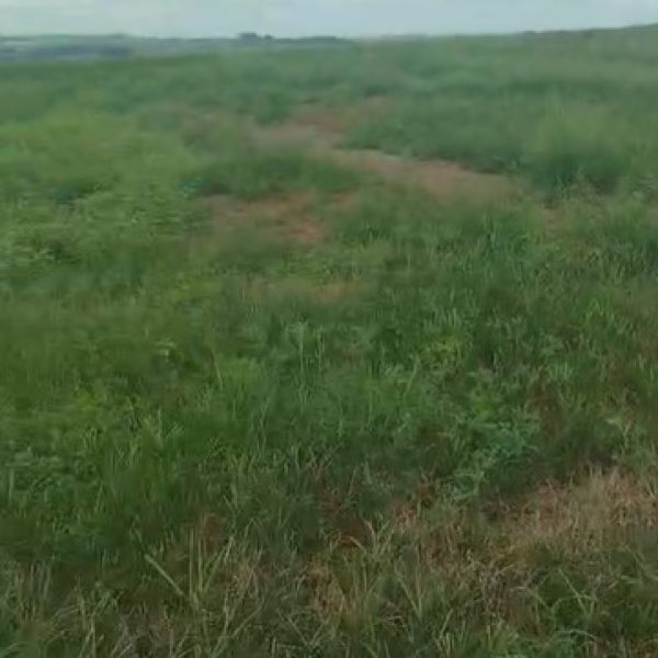 WhatsApp Image 2025-11-16 at 17.50.01