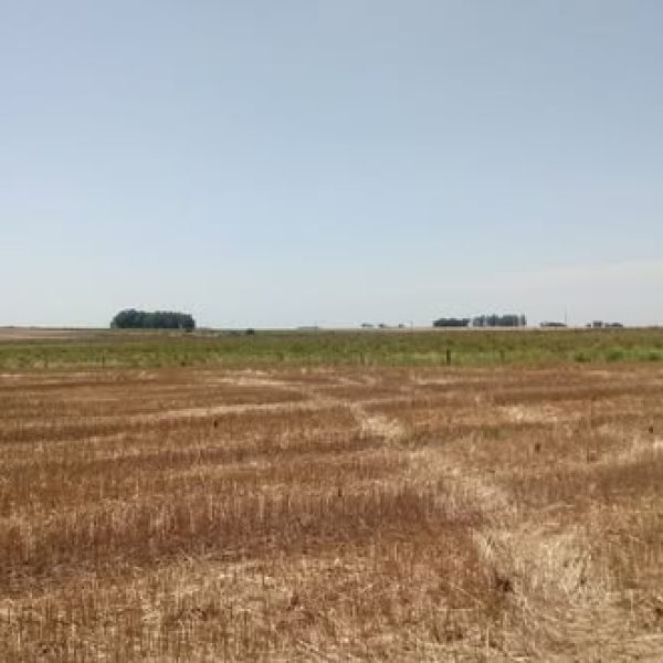 WhatsApp Image 2025-11-20 at 02.35.32