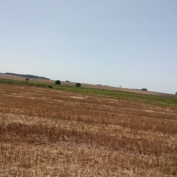 WhatsApp Image 2025-11-20 at 02.35.51