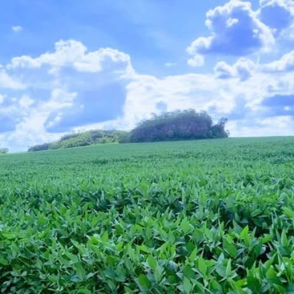 WhatsApp Image 2025-11-25 at 13.11.28