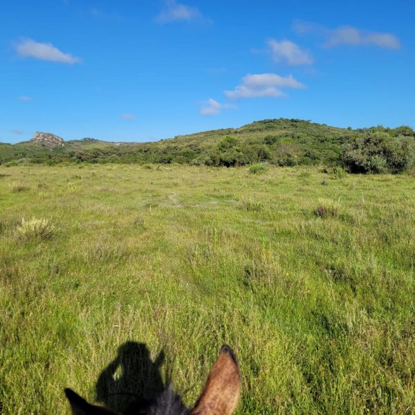 WhatsApp Image 2025-11-27 at 12.35.38 (1)