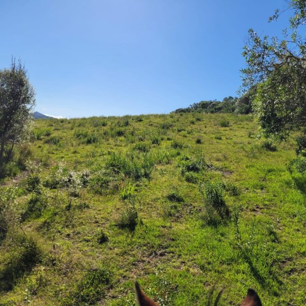 WhatsApp Image 2025-11-27 at 12.35.38 (2)