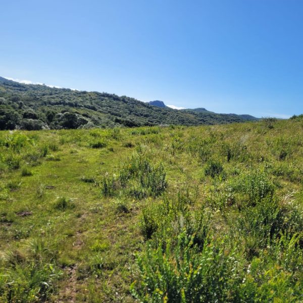 WhatsApp Image 2025-11-27 at 12.35.38