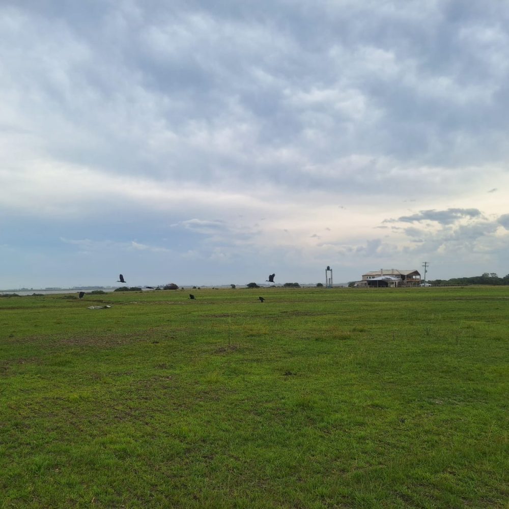 WhatsApp Image 2025-11-29 at 13.59.46