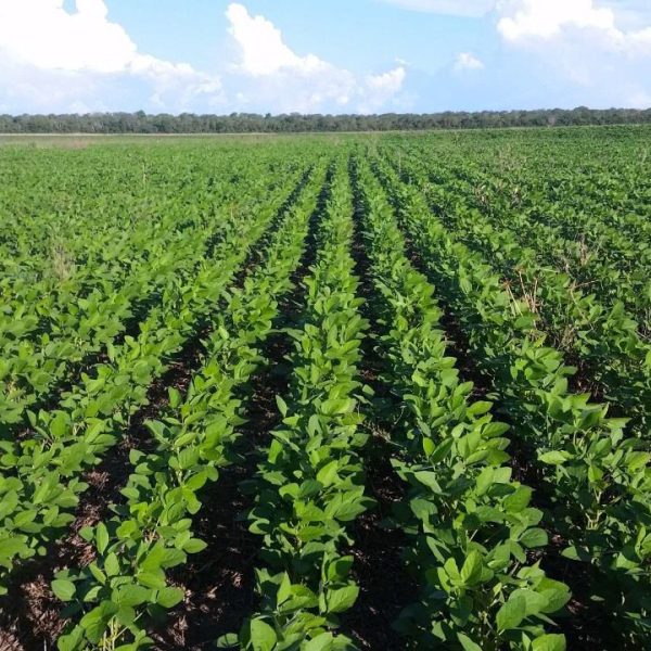 WhatsApp Image 2025-12-01 at 16.07.35 (1)