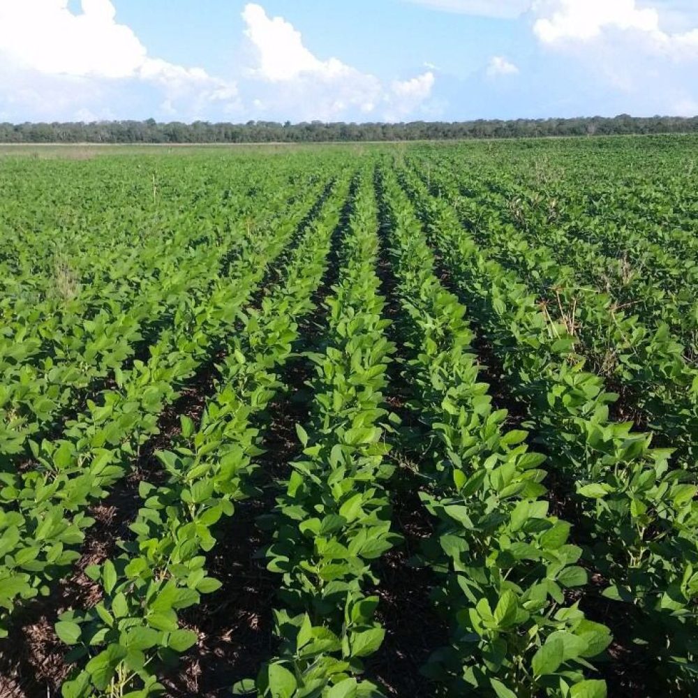 WhatsApp Image 2025-12-01 at 16.07.35 (1)