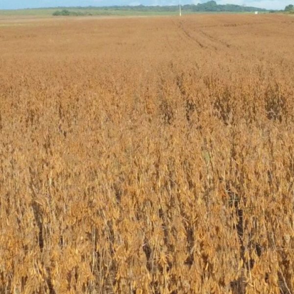 WhatsApp Image 2025-12-01 at 16.07.35 (4)