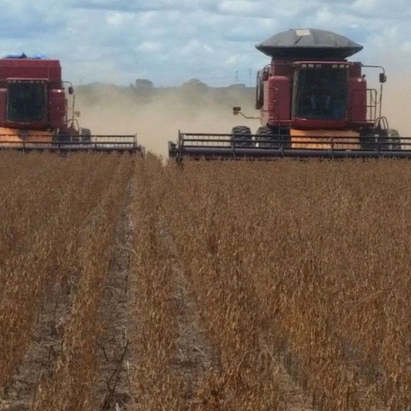 WhatsApp Image 2025-12-01 at 16.07.35