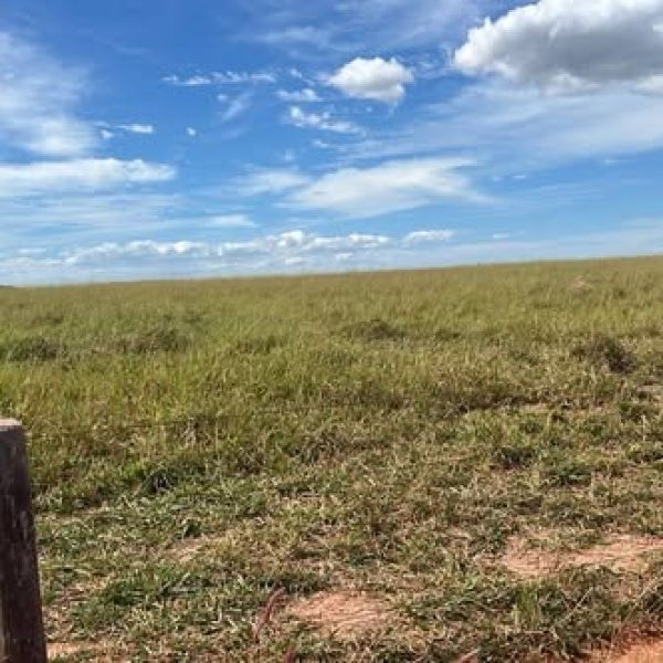 WhatsApp Image 2025-12-14 at 09.06.12