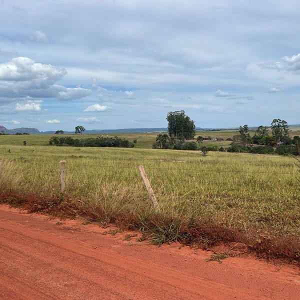 WhatsApp Image 2025-12-14 at 09.06.42