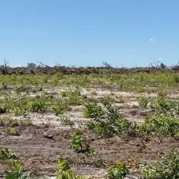 WhatsApp Image 2025-12-14 at 09.42.53