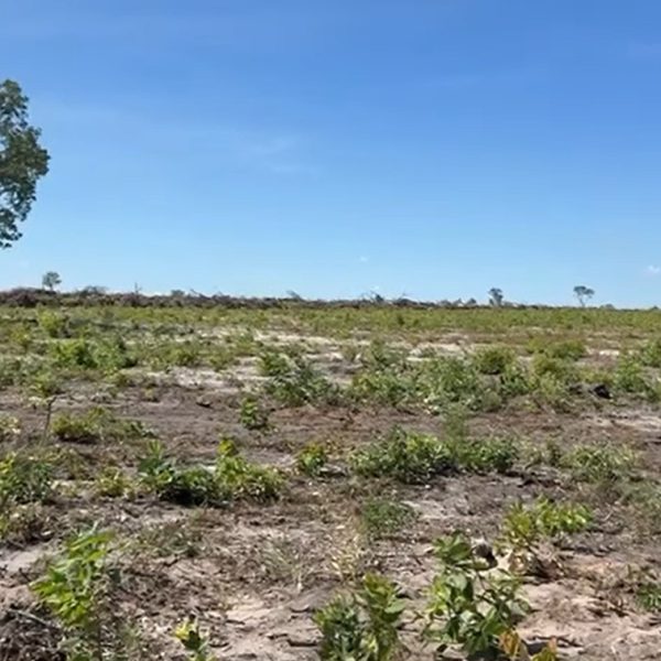 WhatsApp Image 2025-12-14 at 09.44.06