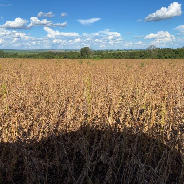 WhatsApp Image 2025-12-14 at 18.37.35